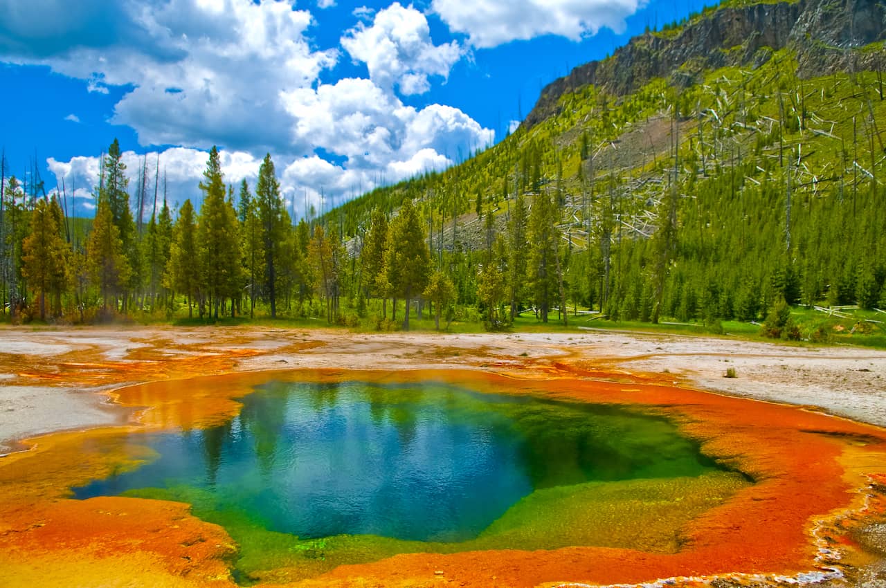 yellowstone-national-park.jpg