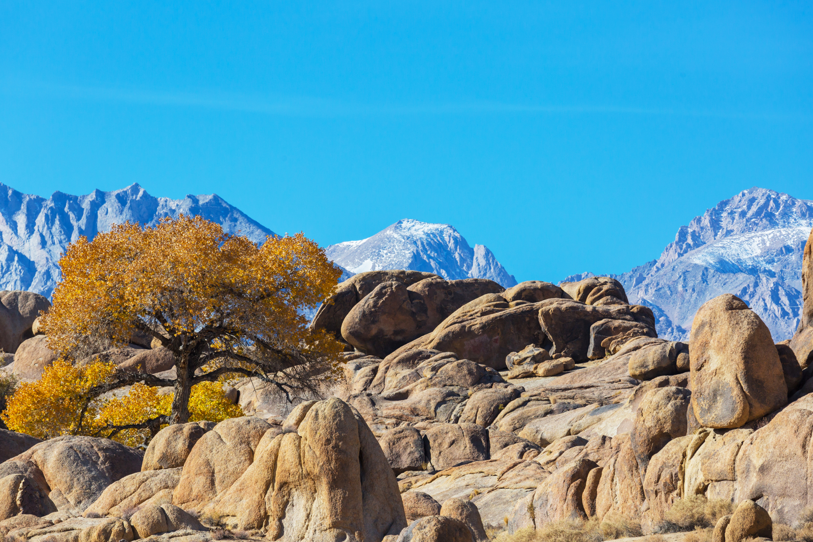 Alabama Hills Camping